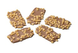 CHOCOLADE FLIKKEN CARAMEL ZEEZOUT (2,5 KG)